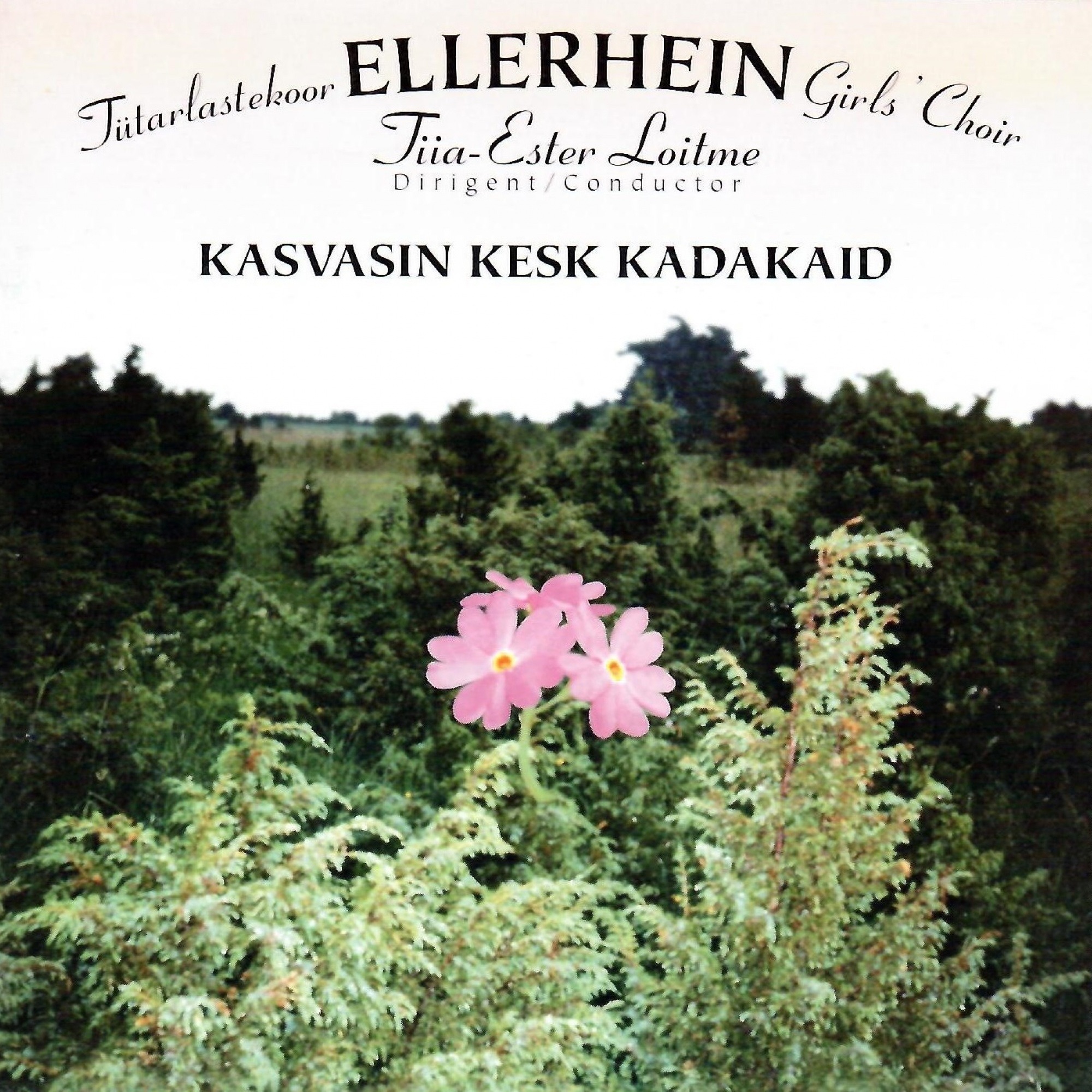 KASVASIN KESK KADAKAID album cover