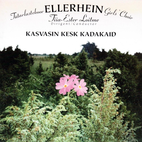 KASVASIN KESK KADAKAID album cover