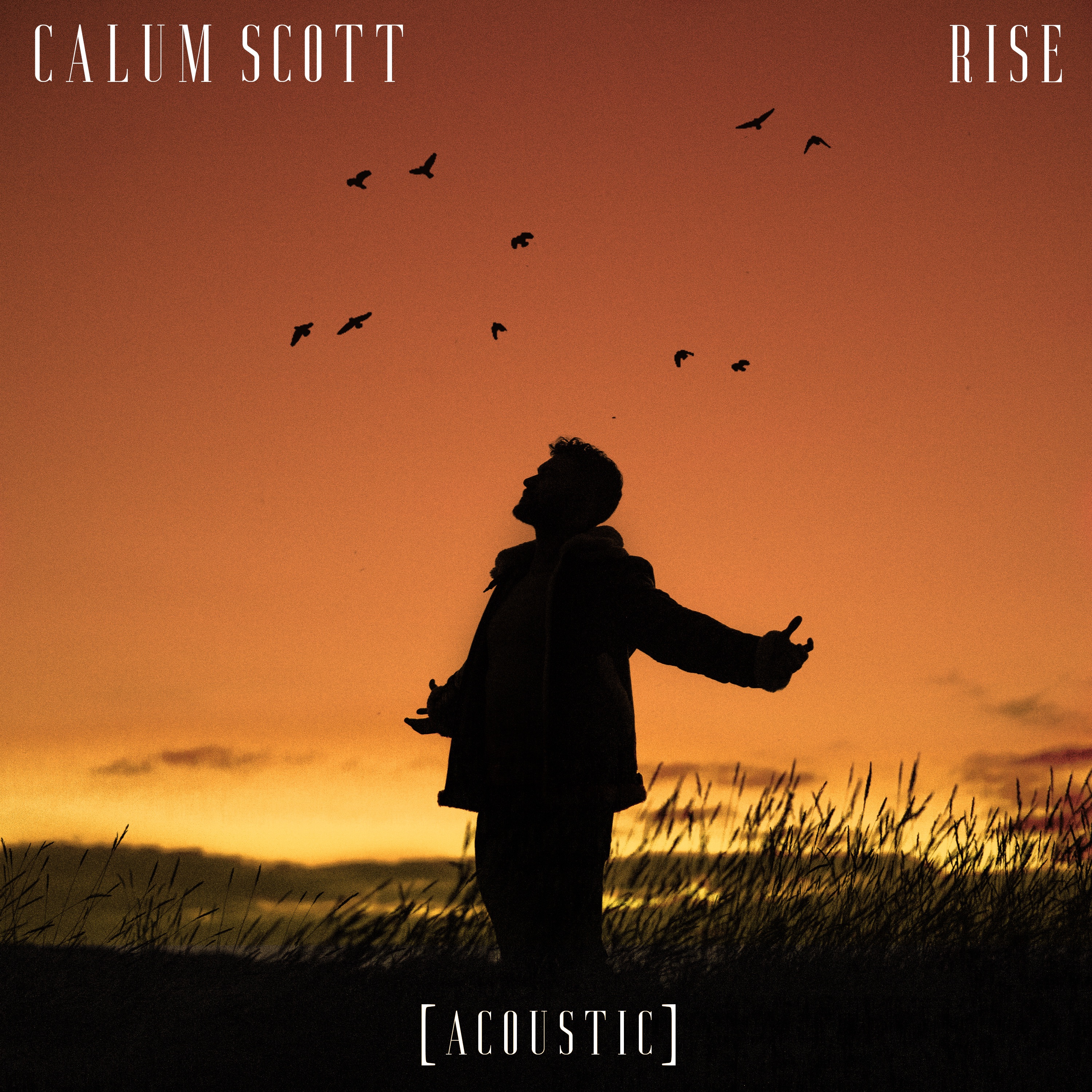 Rise (Acoustic) - Single album cover