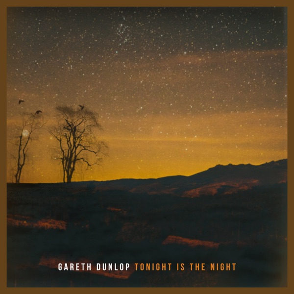 Tonight Is The Night - Single album cover