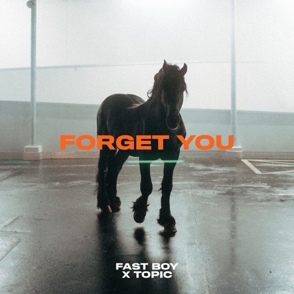 Forget You - Single album cover