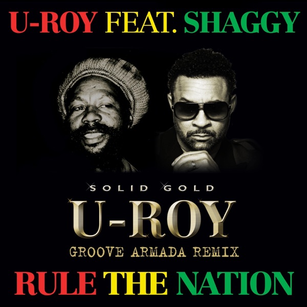 Rule the Nation (feat. Shaggy) [Groove Armada Remix] - Single album cover