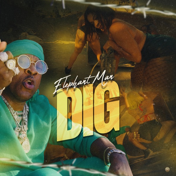 Dig - Single album cover