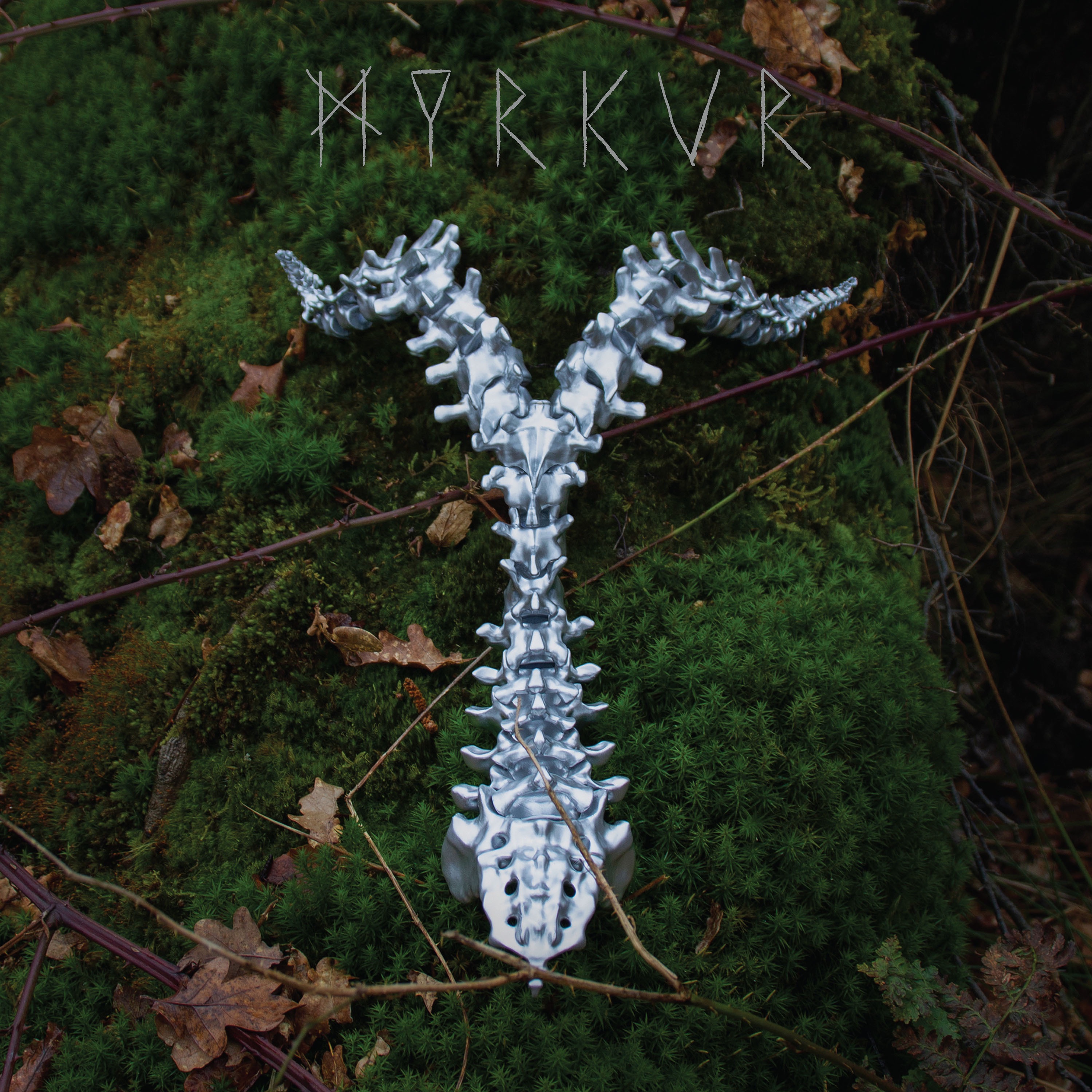 Spine album cover