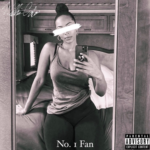 No 1 Fan - Single album cover