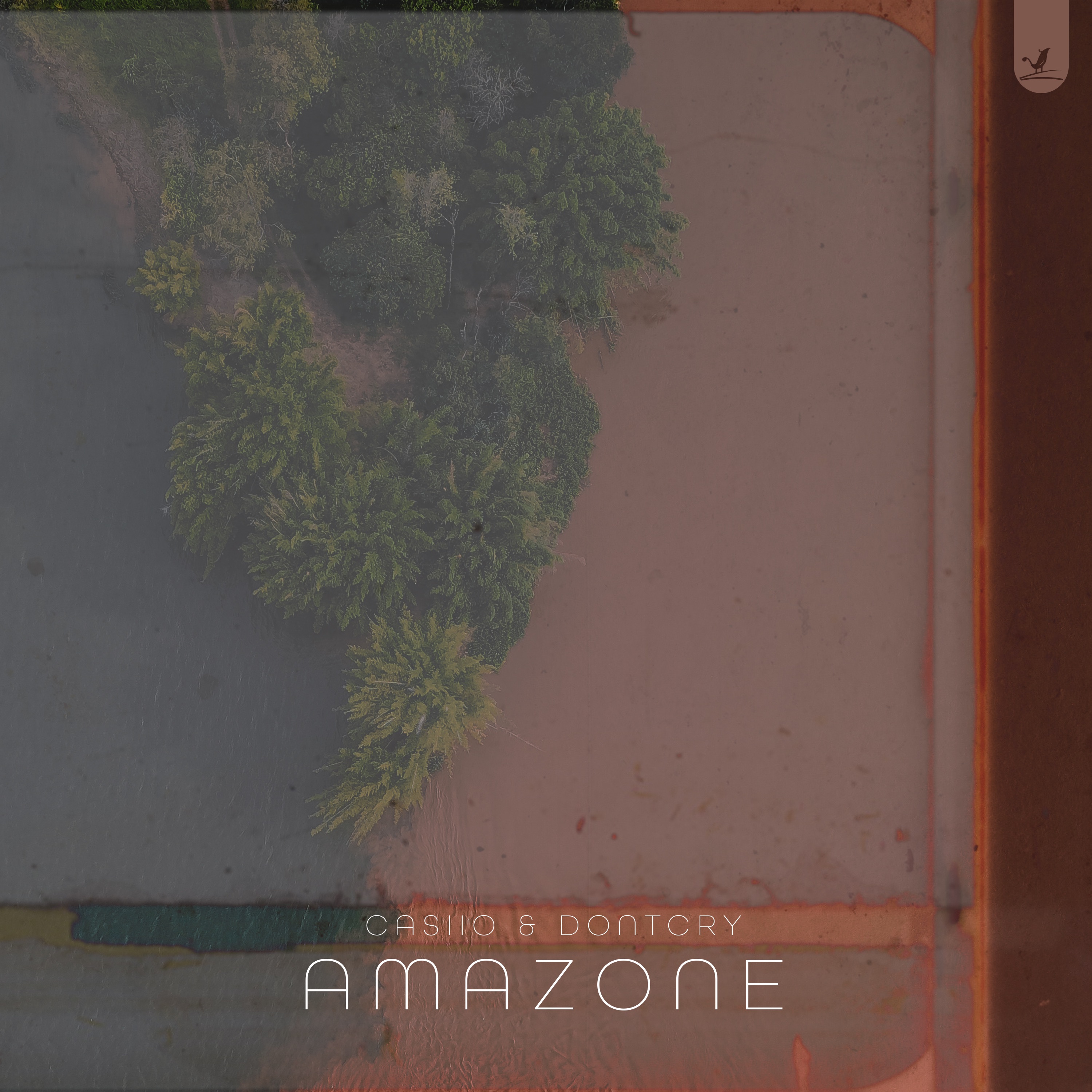 Amazone - Single album cover