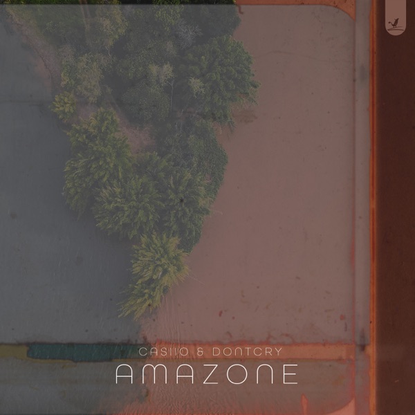 Amazone - Single album cover