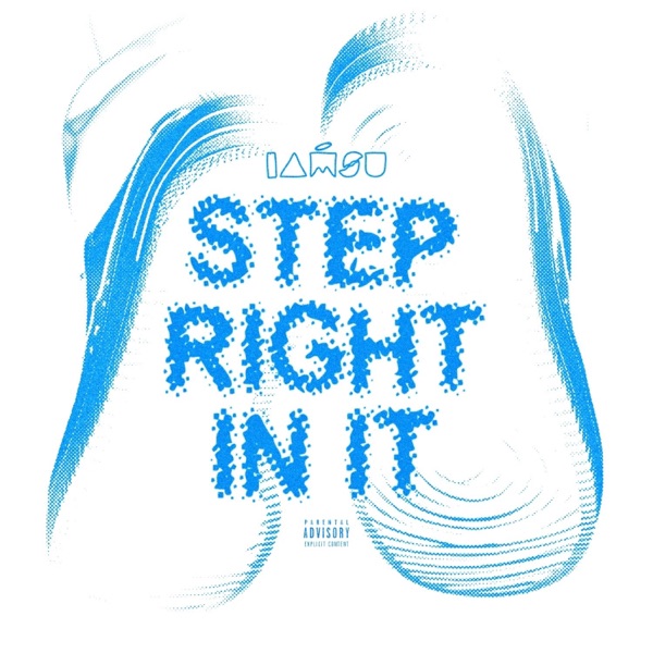 Step Right In It - Single album cover