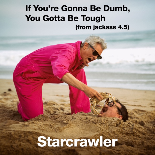 If You're Gonna Be Dumb, You Gotta Be Tough (From "Jackass 4.5") - Single album cover