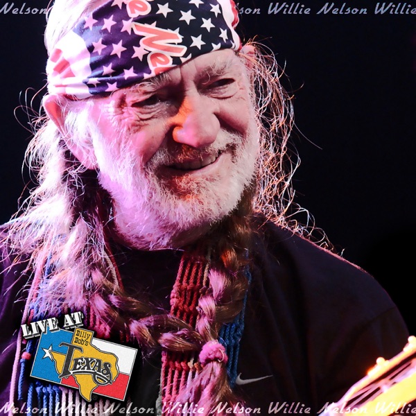 Live At Billy Bob's Texas: Willie Nelson album cover