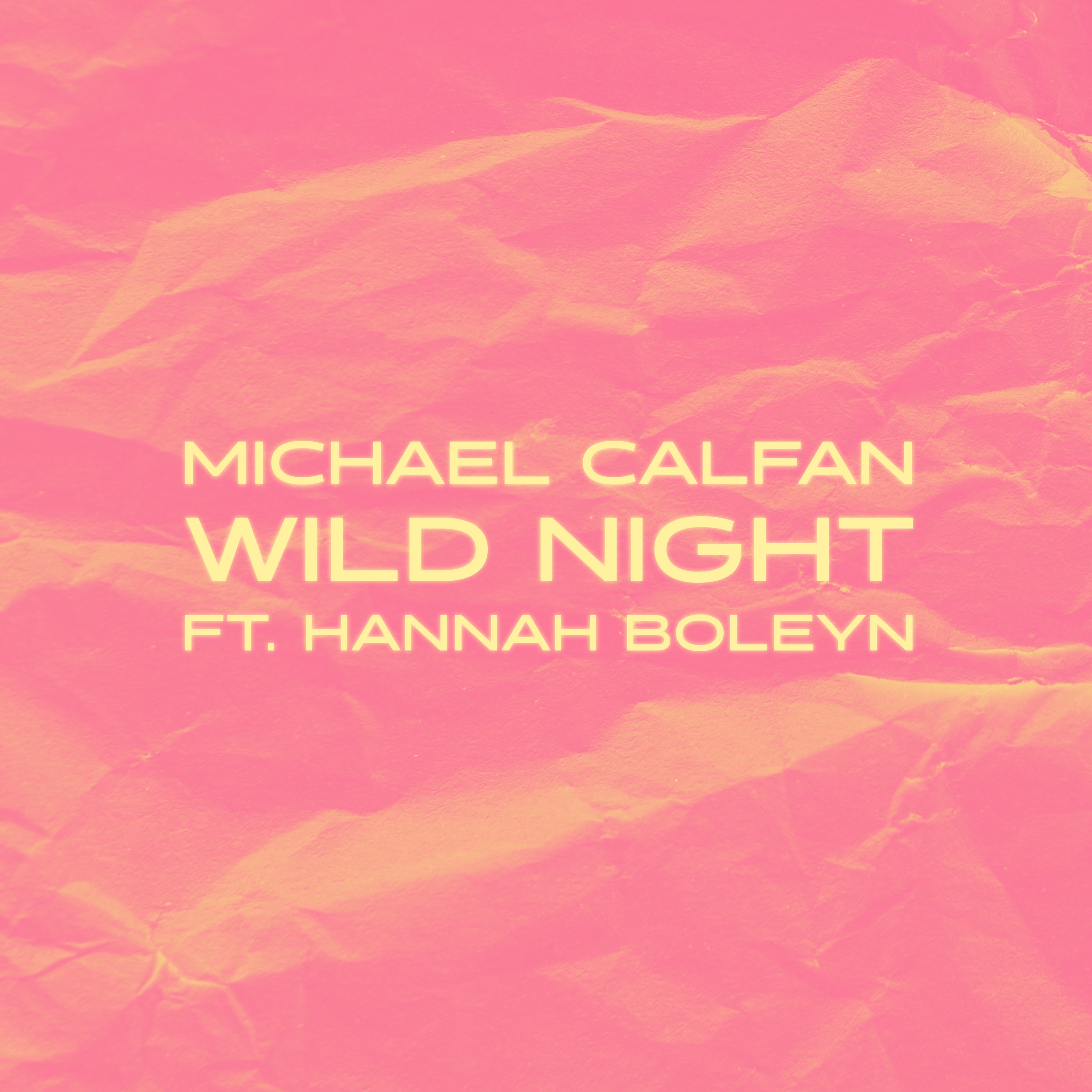 Wild Night - Single album cover