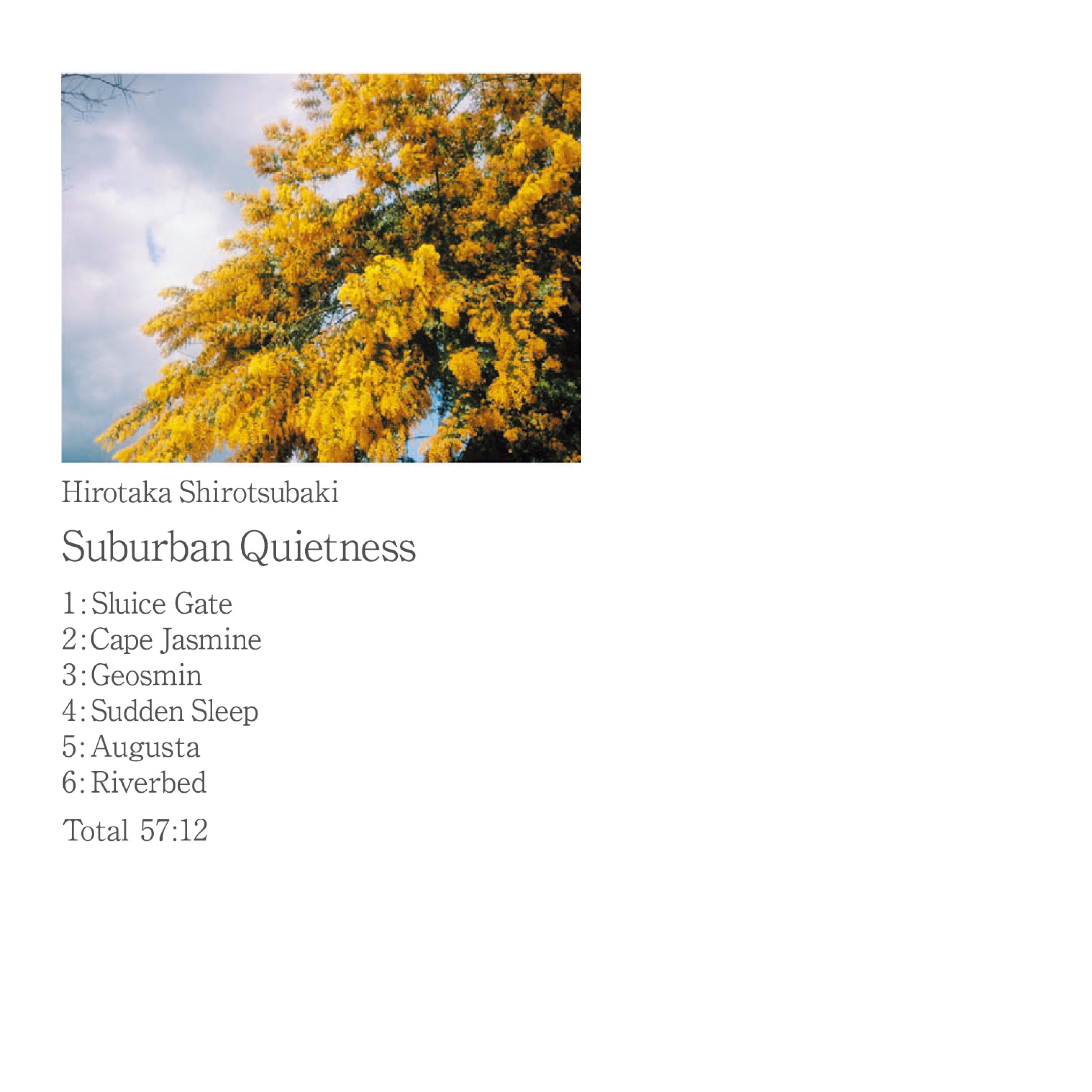 Suburban Quietness album cover