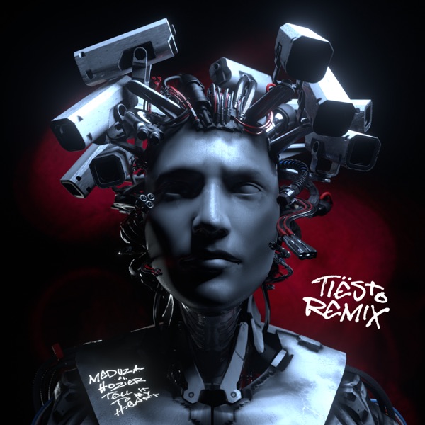 Tell It To My Heart (feat. Hozier) [Tiësto Remix] - Single album cover