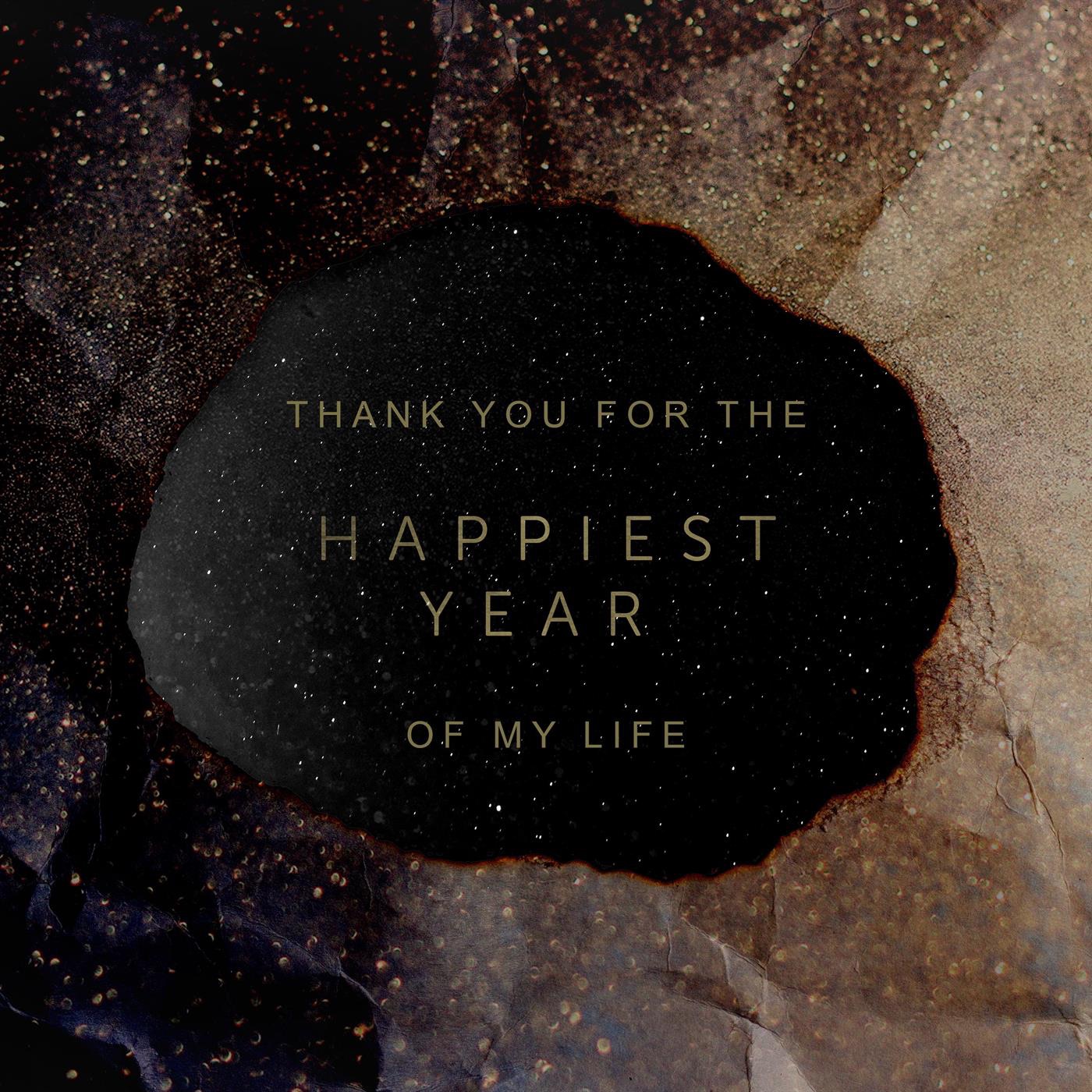 Thank You for the Happiest Year of My Life - EP album cover