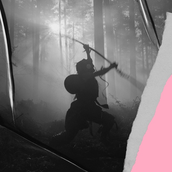 Instability: Closer Than You Will Ever Be (Impérieux Remix) - Single album cover