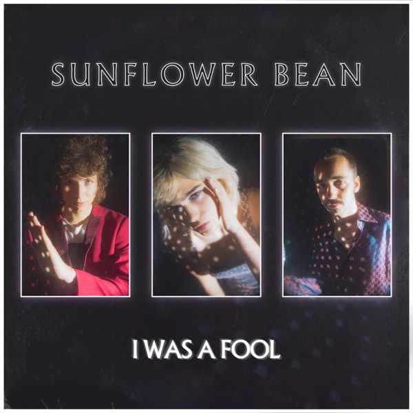I Was a Fool - Single album cover