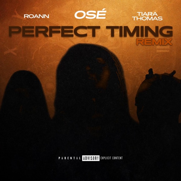Perfect Timing (feat. Roann & Tiara Thomas) [Remix ] - Single album cover