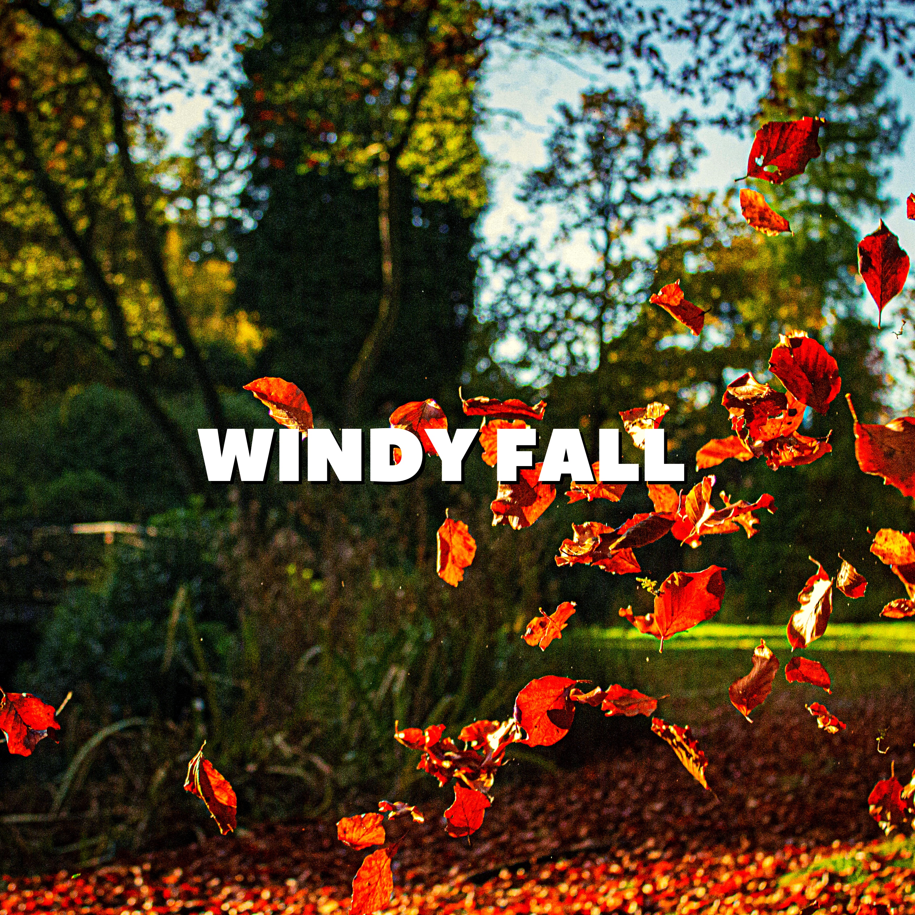 Windy Fall album cover
