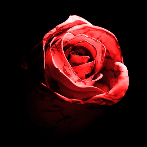 Romantic Homicide (Live Version) - Single album cover