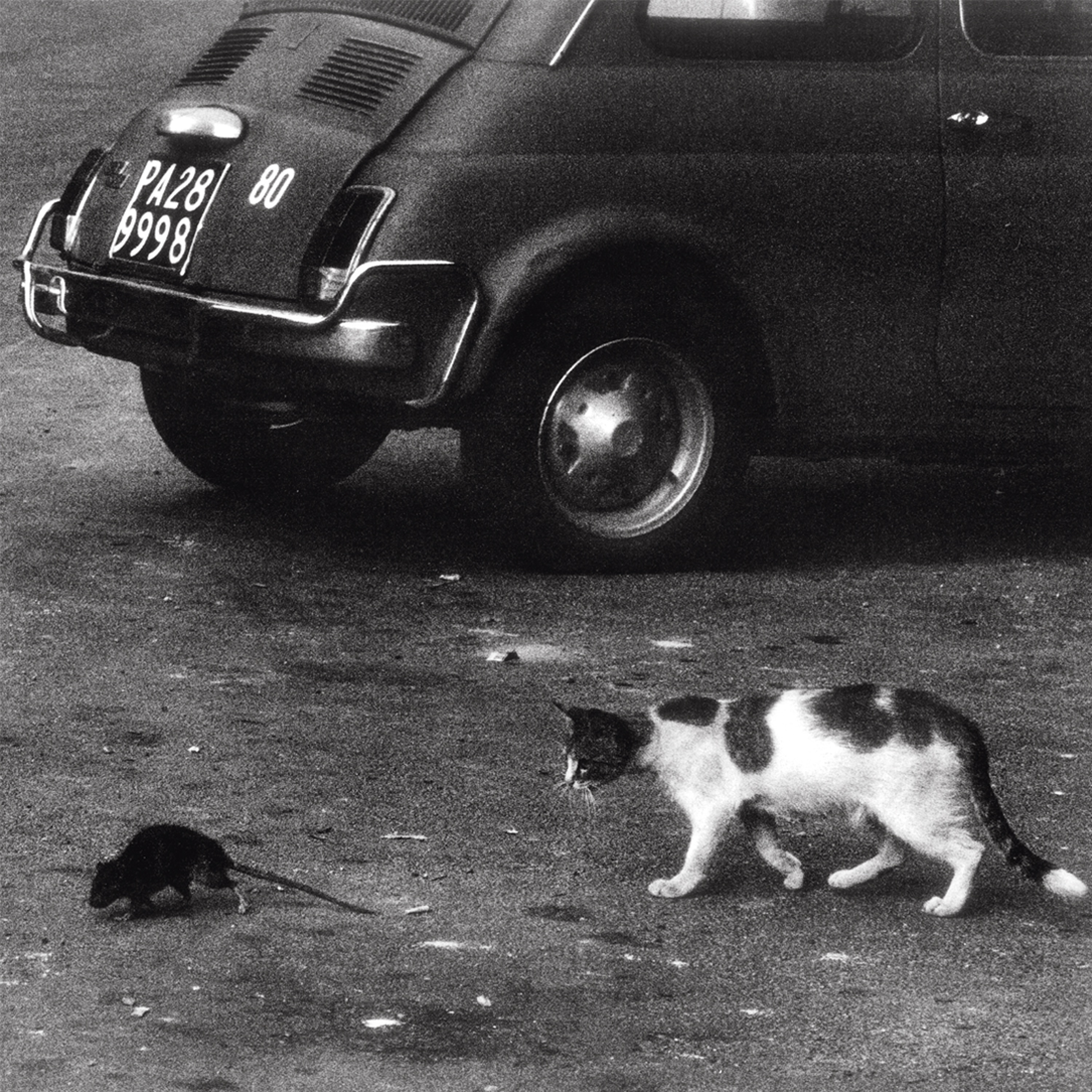 Montagna - Single album cover