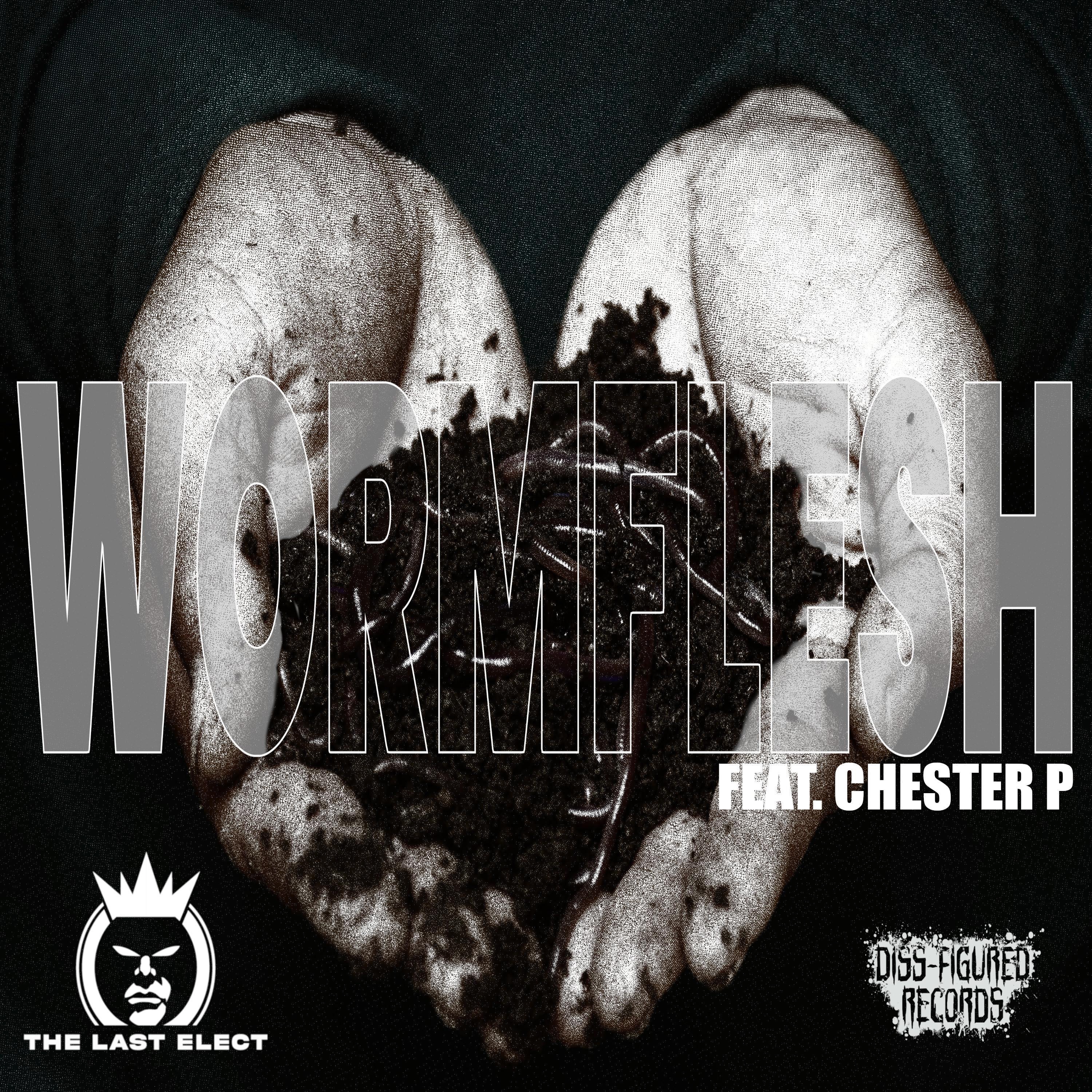 Wormflesh (feat. Chester P, C.Facts, C.O.N-Vers & Bxrbarian) - Single ...