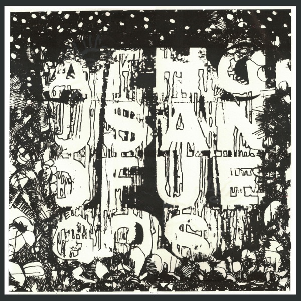 A Thousand Fuegos album cover