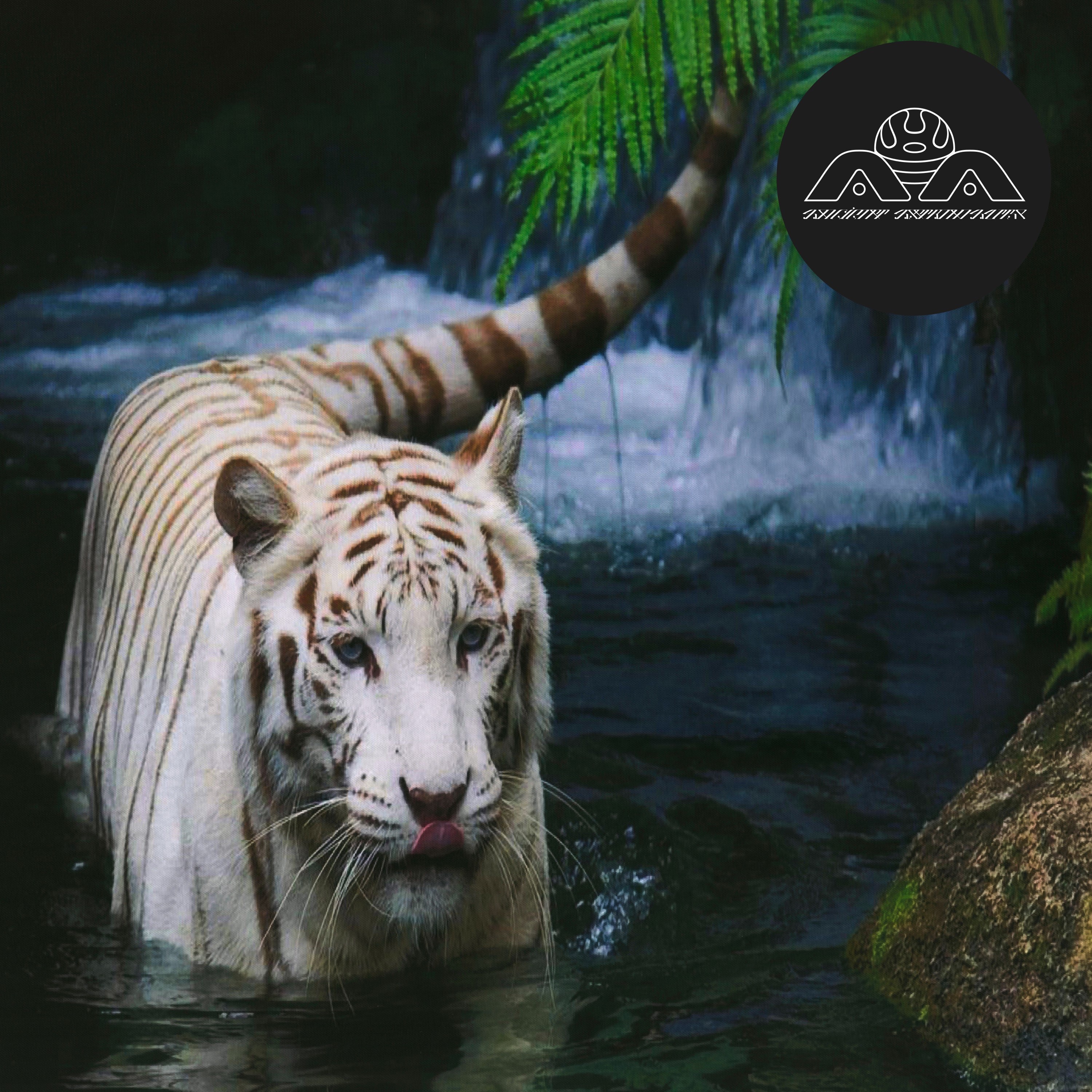 Not Seeing Is a Flower - Single album cover