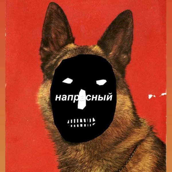 Vain//напрасный (feat. Nightingale) - Single album cover