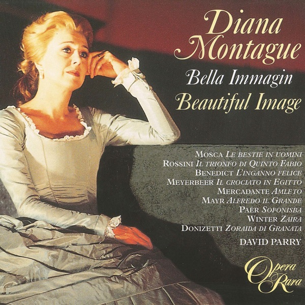 Bella Immagin album cover