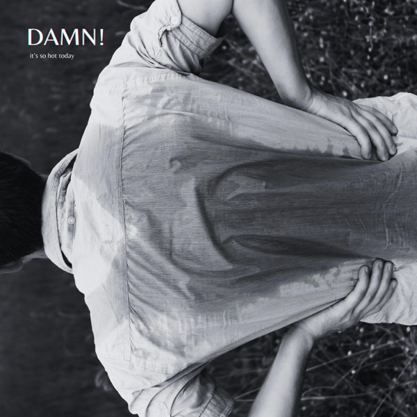 DAMN! (It's so hot today) - Single album cover