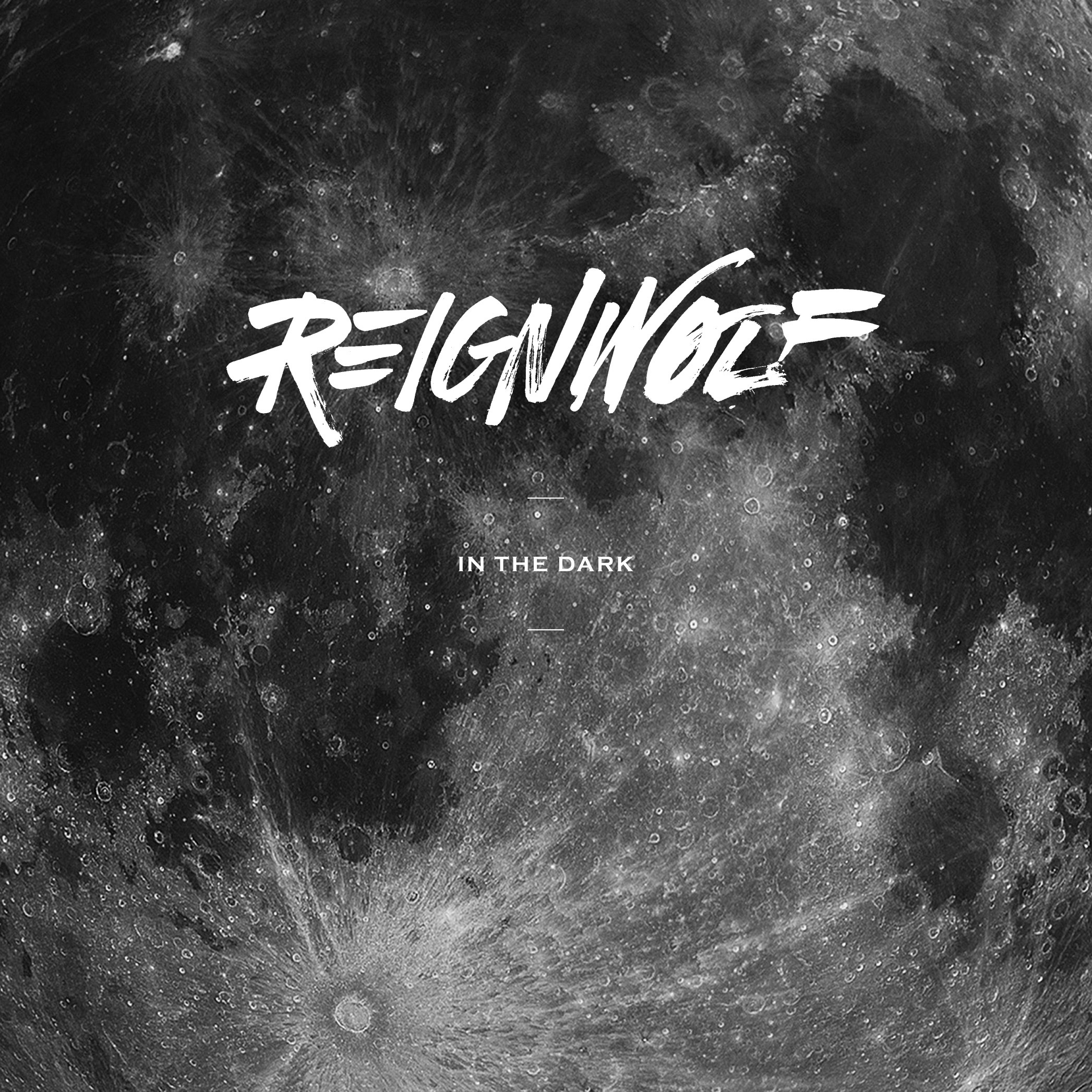 In the Dark - Single album cover