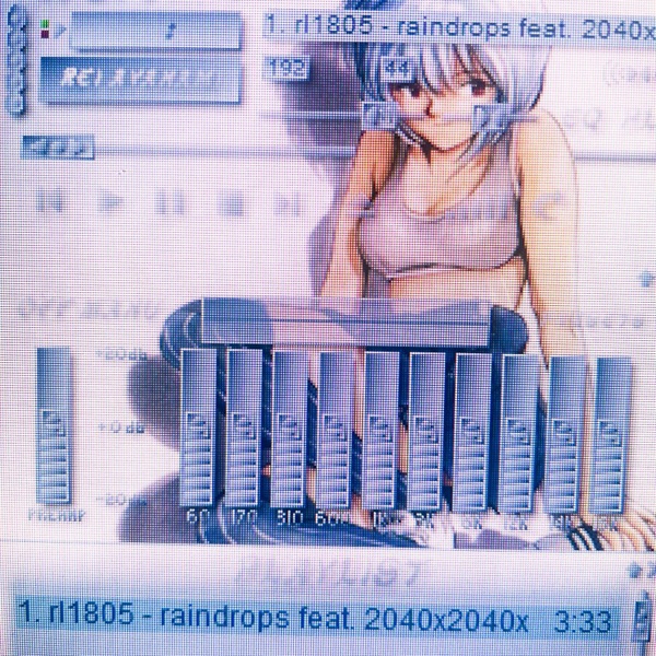 Raindrops (feat. 2040X2040) - Single album cover