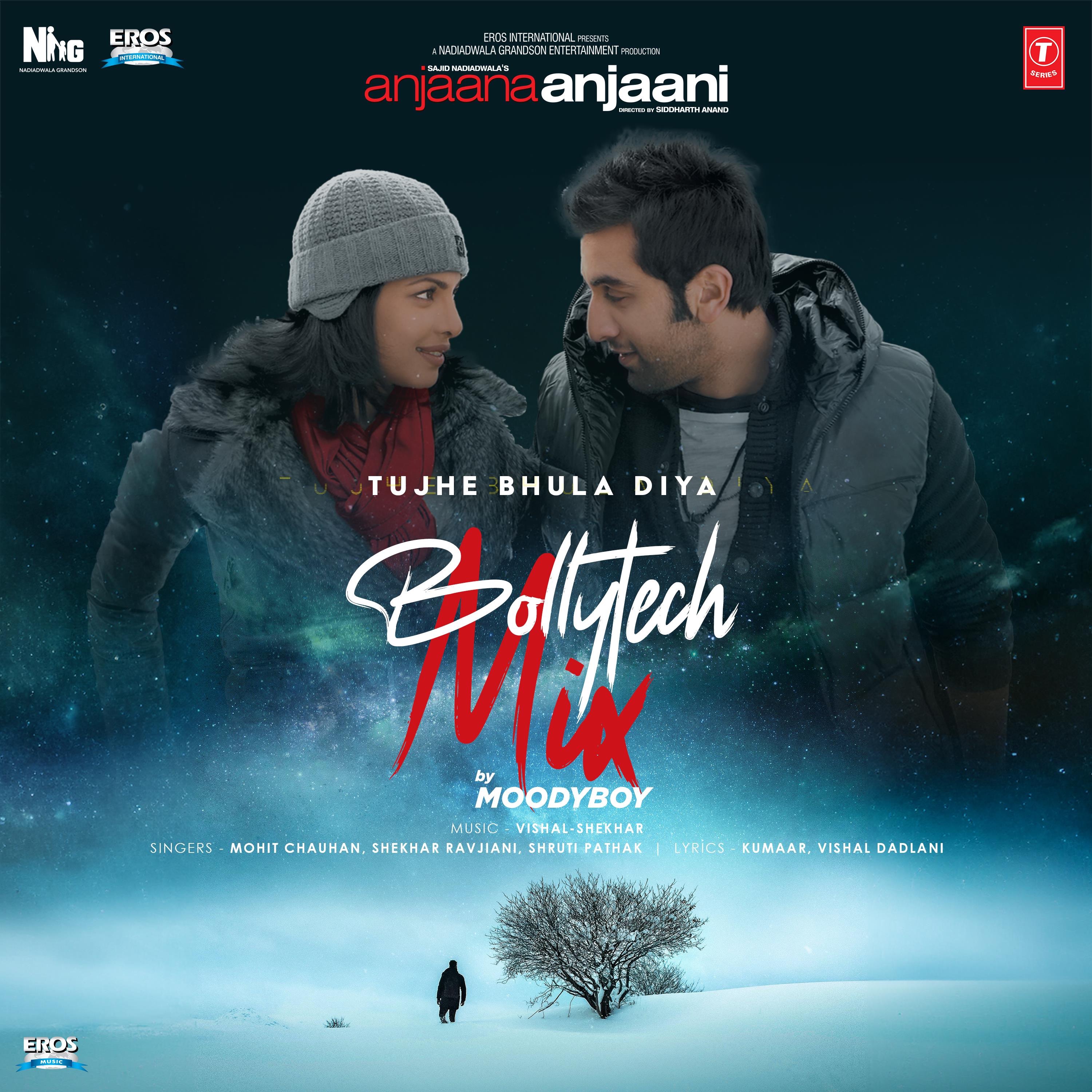 Tujhe Bhula Diya - Bollytech Mix - Single album cover