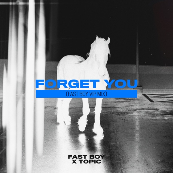 Forget You (FAST BOY VIP Mix) - Single album cover