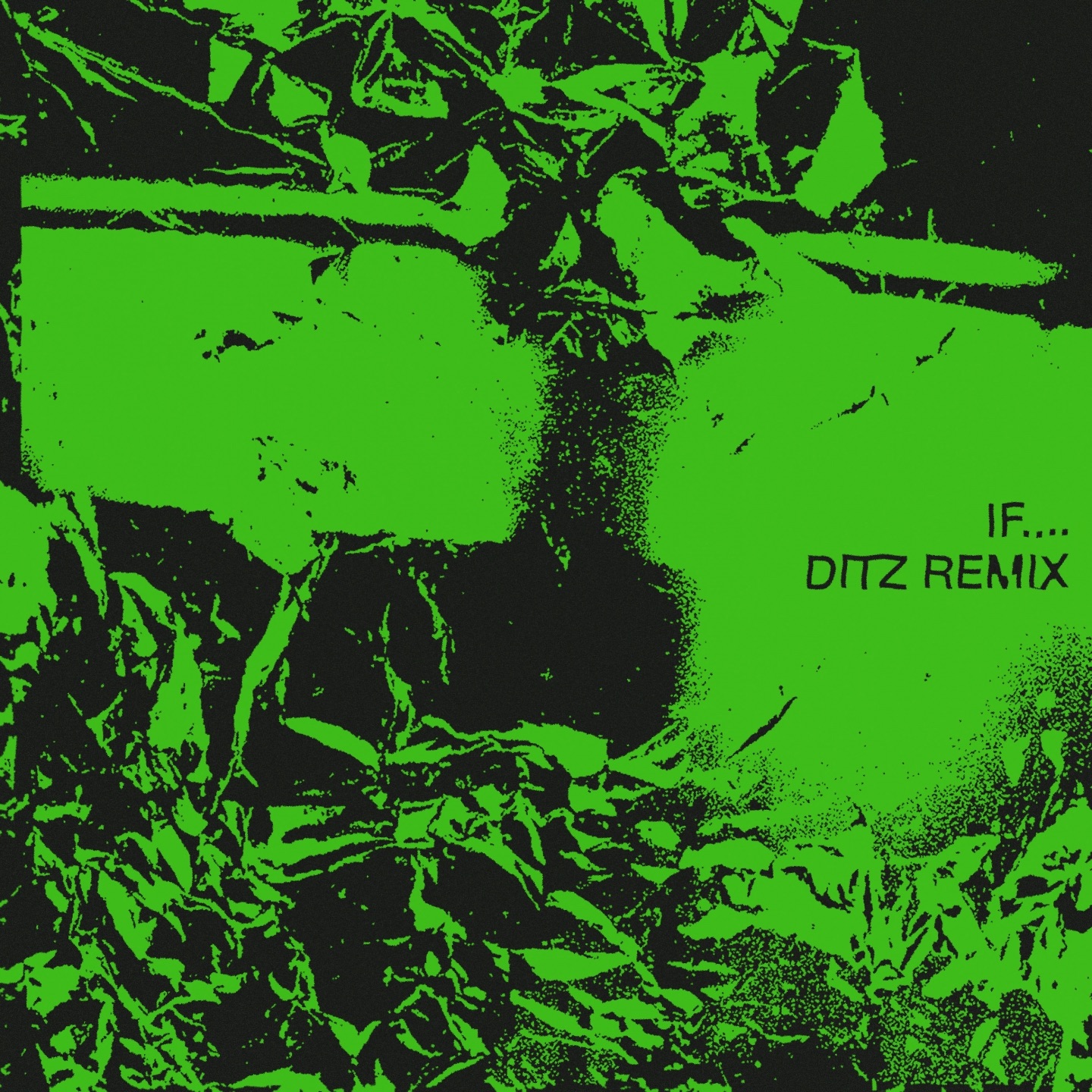 If.... (DITZ Remix) - Single album cover