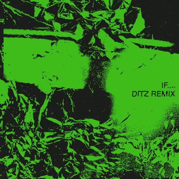 If.... (DITZ Remix) - Single album cover