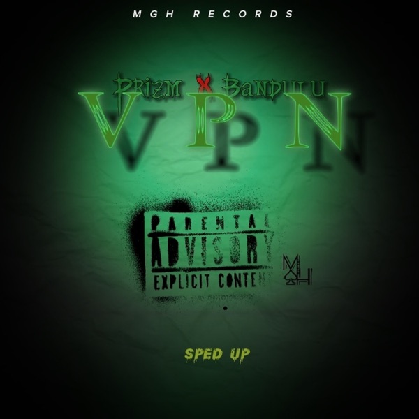 VPN (feat. Bandulu) [Sped Up] - Single album cover