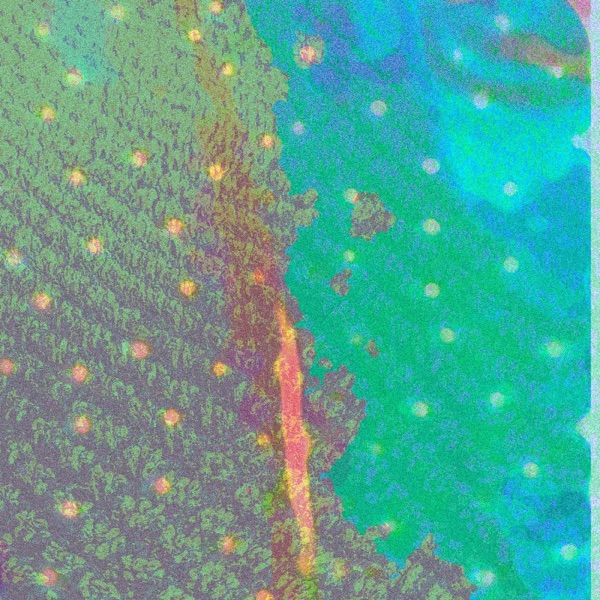 Third Wind album cover