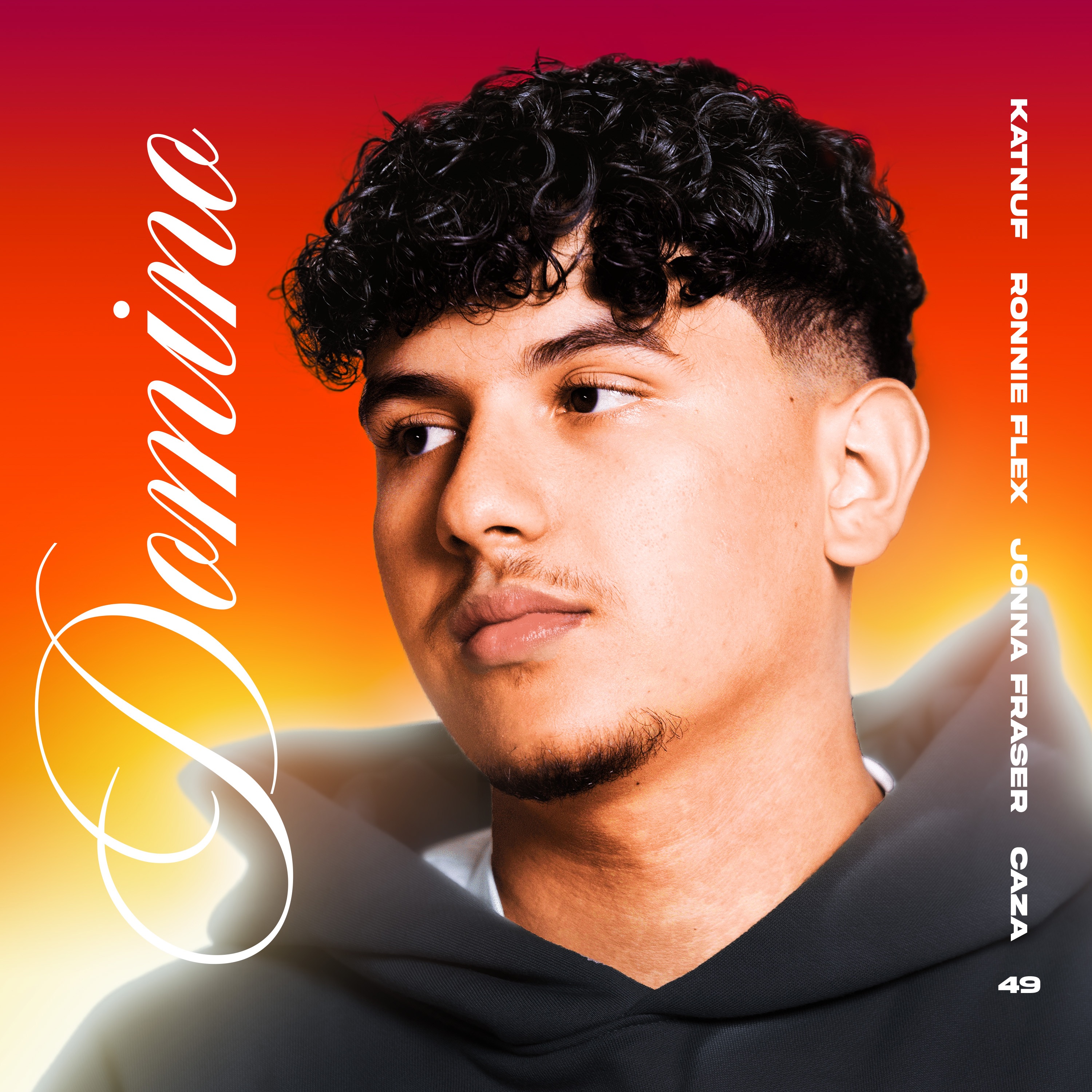 Domino - Single album cover