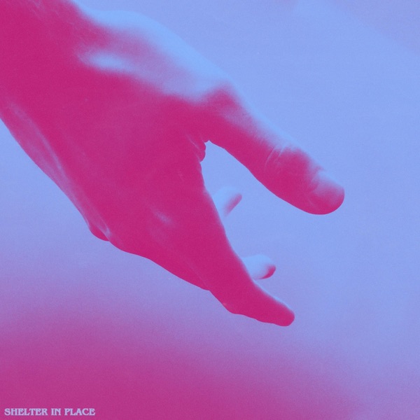 Shelter In Place (feat. 8485) - Single album cover