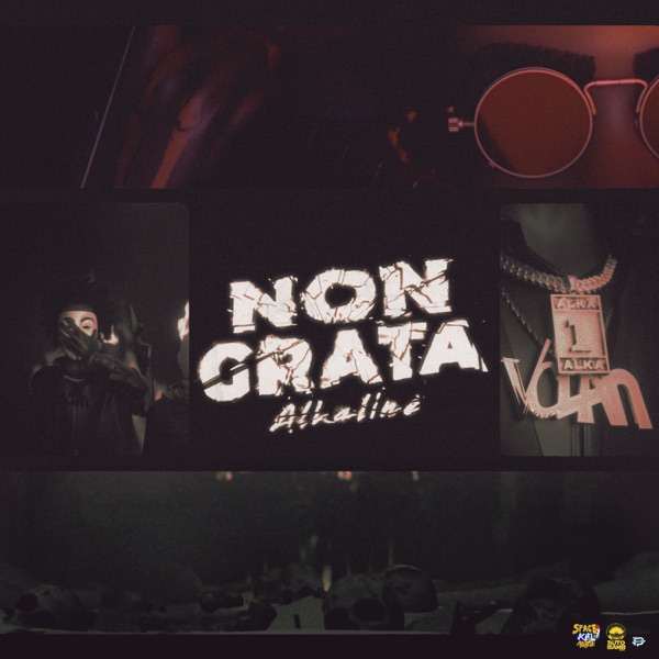 Non Grata - Single album cover