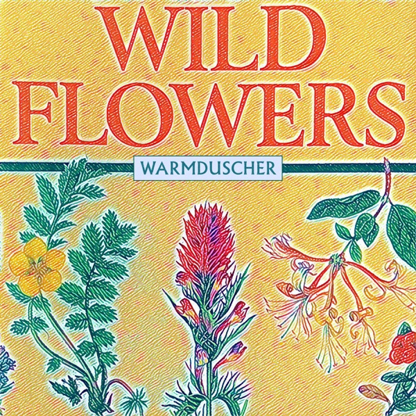 Wild Flowers (Radio Edit) - Single album cover