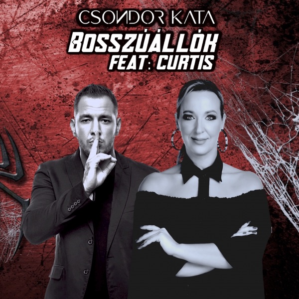 Bosszúállók (feat. Curtis) - Single album cover