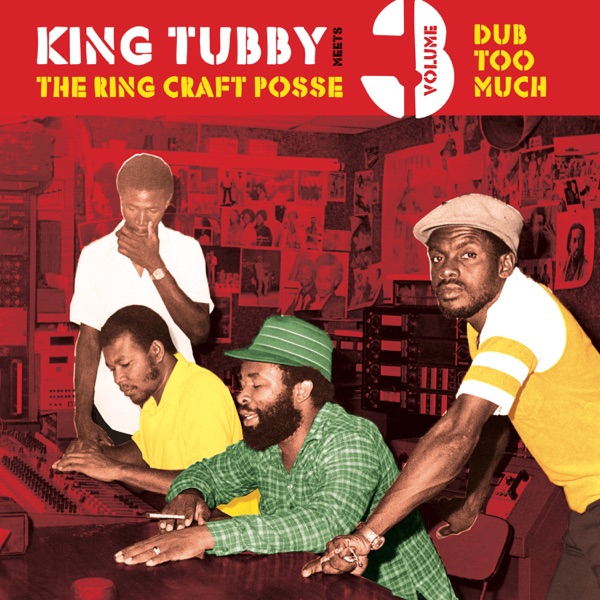 Dub Too Much, Vol. 3 album cover