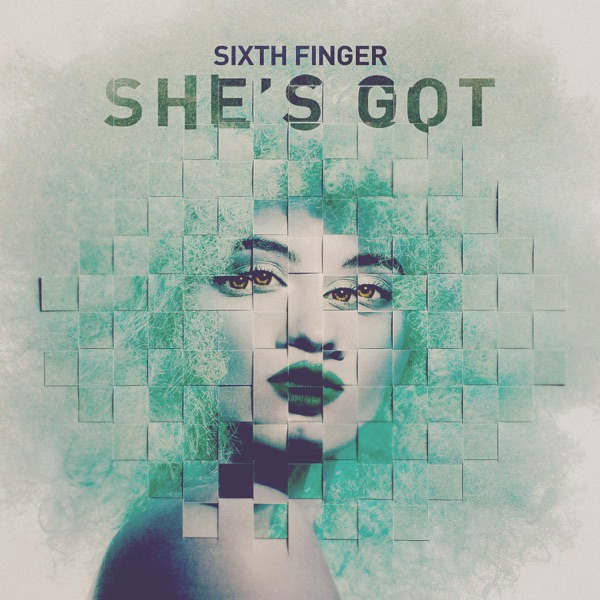She's Got - Single album cover