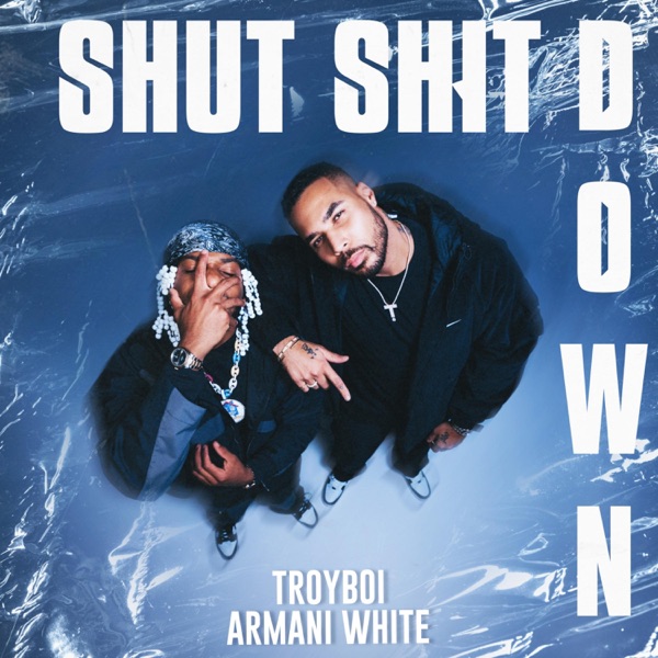 Shut Shit Down - Single album cover