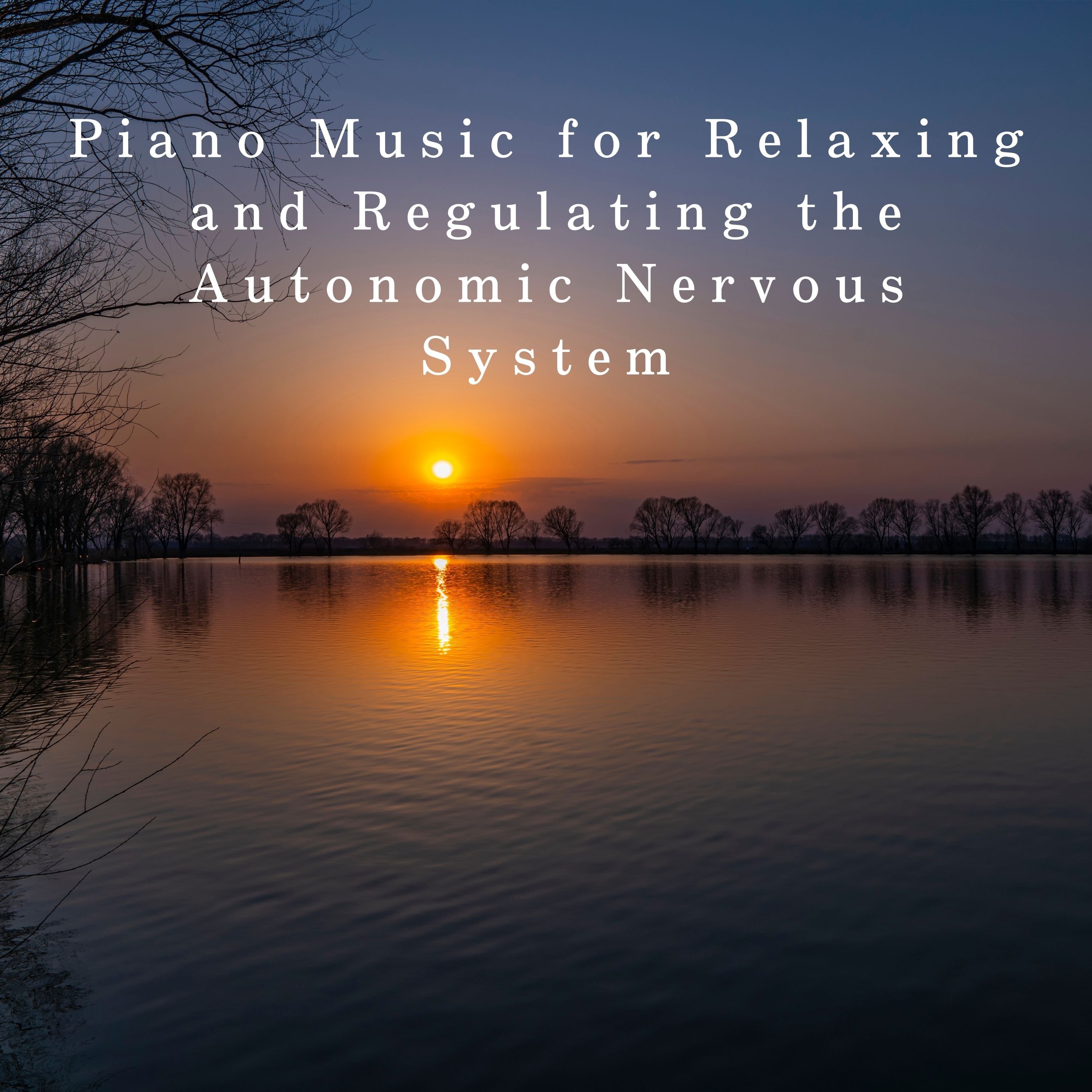 Piano Music for Relaxing and Regulating the Autonomic Nervous System album cover