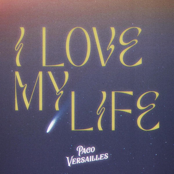 I Love My Life (Vandelux Remix) - Single album cover