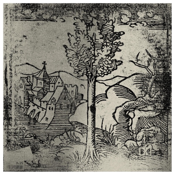 The Valley album cover