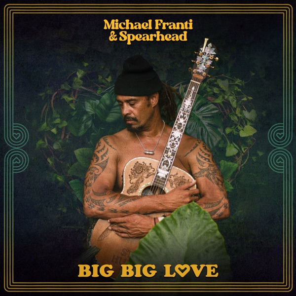 Big Big Love album cover